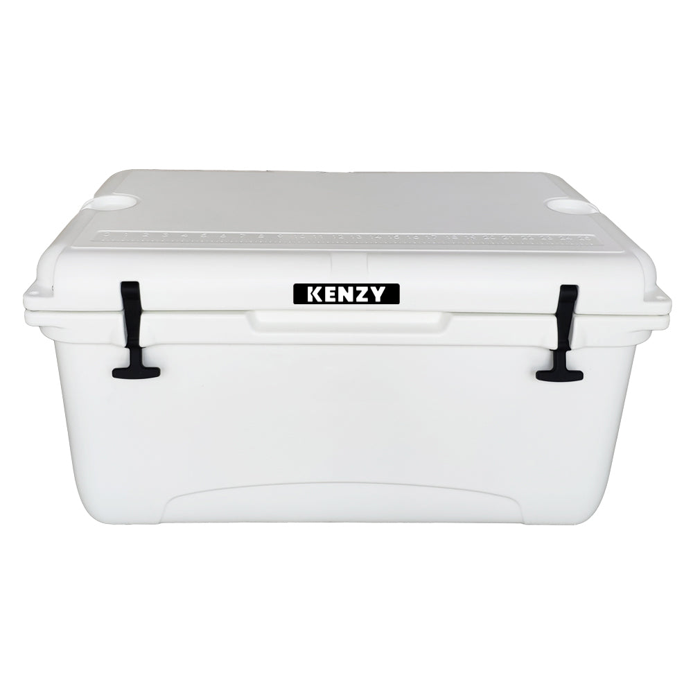 65L Hard Cooler