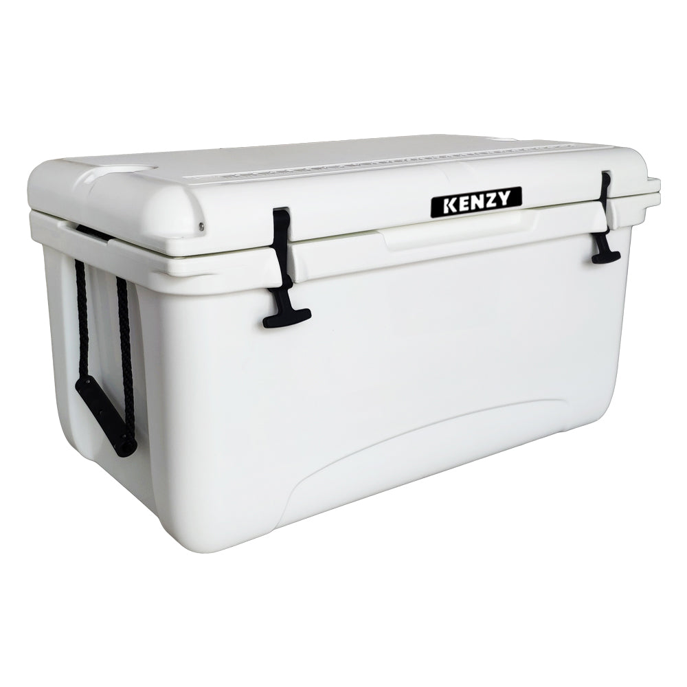 65L Hard Cooler
